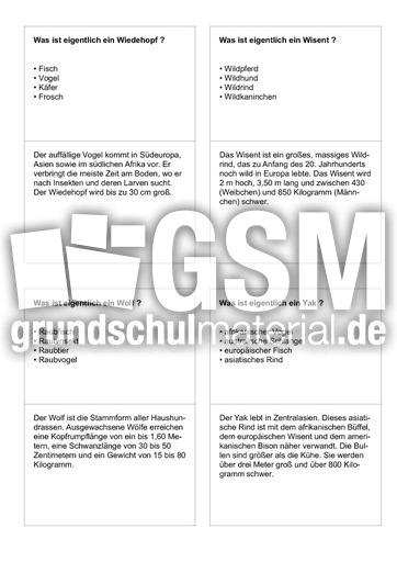 Tiernamen 06.pdf